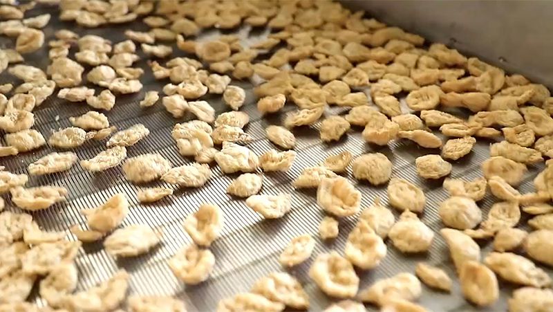 Línea de producción de proteína de soja texturizada y nuggets de soja