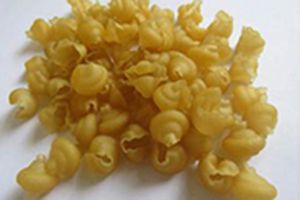 Máquina para fabricar snack de bolita moldeado